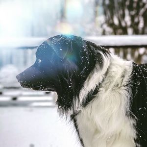 Meet your Posher, Deirdeirdre